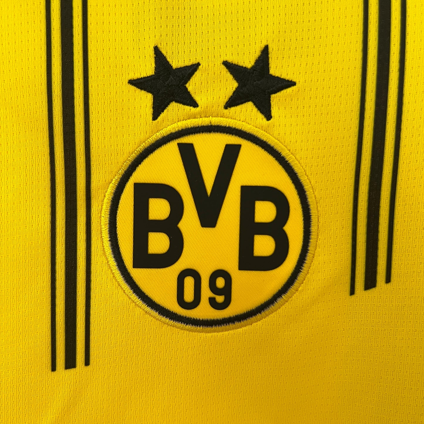 B. Dortmund 24/25 Principal